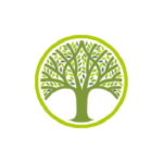 High Elms Tree Surgery